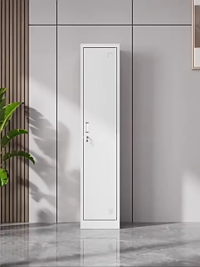 ตู้เก็บของเหล็ก 1 ประตู 2 ประตู 3 ประตู มีล็อค กันน้ำและกันความชื้น