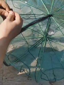 MISHILEI ตาข่ายดักปลา 6/8/10/16/24 ช่อง ที่ดักกุ้งฝอย มุ้งดักปลา มุ้งดักกุ้ง พับเก็บได้ กระชังดักปลา อาหารปลา