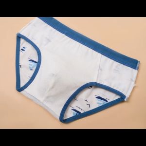 Magic Selection 1-11Y 4PCS Kids Underwear Pure Cotton Breathable Cartoon Dinosaur Briefs for Boys