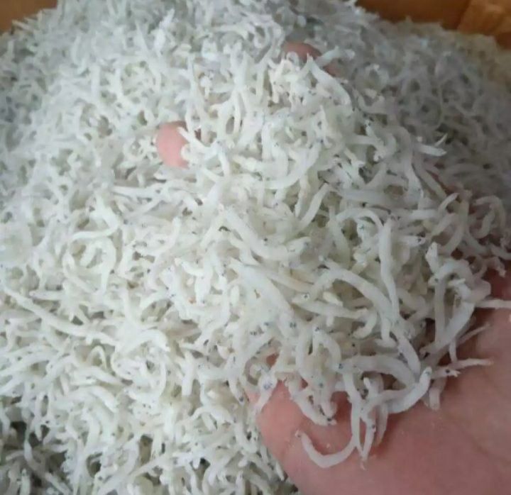 Teri Medan 500 gram  / Teri Medan Asli / Ikan Asin Medan / Ikan Asin Enak / Ikan Asin Murah 1 kg