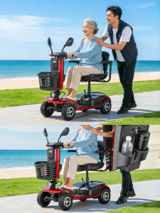 Phoenix | Foldable Electric Mobility Vehicle Small