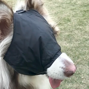 Doglemi Có Thể Điều Chỉnh Dog Mặt nạ mắt Comfort Đàn Hồi Pet Tấm Che Mắt Ngủ Với khóa tháo nhanh Cho Nhỏ chó lớn và trung bình Làm dịu Cảm Xúc Nhẹ Nhàng