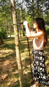 HongKong60เชือกผูกเปล นิรภัย ขนาดยาว 2 เมตร (2ชิ้น) หน้ากว้าง 2.5 cm. แถมฟรี ตัวล็อคเชือก 2 ชิ้น ส่งฟรี มีบริการเก็บเงินปลายทาง เชือกผูกเปล+คาราบิเนอร์ เชือกถักแบน + carabiner เชือกถัก เชือกแบน เชือกเปลนอนป่า