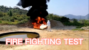 SG 【Ready Stock】Fire Extinguisher Fire Fighter Portable Multipurpose Fire Extinguisher Ingusher ABC Powder Small Medium