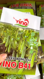 Hạt Giống Dưa Leo Bóng Lai VINO B41 (Gói 10gr) - Quả màu xanh bóng (Date mới)