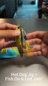 Hot Dog Fishing Jig Small Profile Coral Reef Jig 100g 120g 150g 200g Grouper Ang Gao Lengjiam