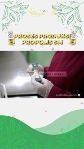 Obat Gatal Kemaluan Pria dan Wanita Gatal Selangkangan Exim Kering Dan Basah Darah Manis Kurap Kudis Panu Biduran Jamur Bekas Luka Kulit Gatal Dan Ruam Rhinitis Alergi - PROPOLIS SM