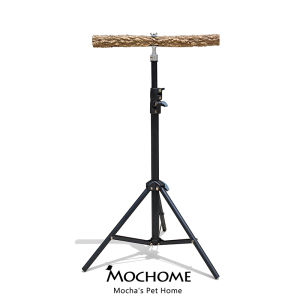 Training And Outing Parrot Stand