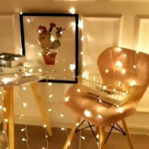 SUNDAR 220V IP65 Outdoor Waterproof LED Strip Light 100LED 10M/50M/100M - Decorative Color Changing Festive Light