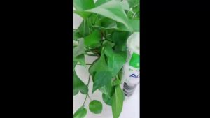 Lõi lọc nước số 1 (pp) - 10 inch thương hiệu Aqua TL