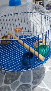 RỌ CƯỚC ĐỰNG LÚA KÊ CHO CHIM CU GÁY