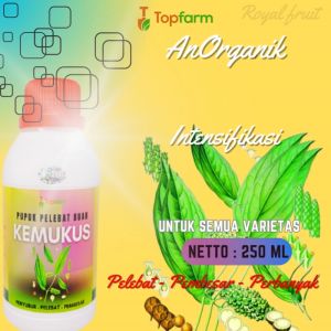 Pupuk Pelebat Buah / Pupuk Buat Tanaman Kemukus / Pupuk Kemukus / Pupuk Penyubur Tanaman Kemukus / Pupuk Khusus Buah Kemukus
