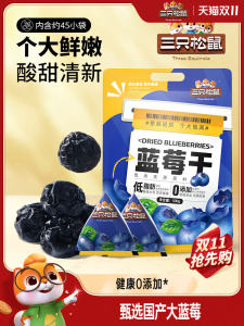 Large Healthy Low-fat Blueberry Dried Fruit