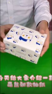 【5 Packs】400 Sheets Tissue Paper【100 Pulls x 4-Ply】Large Size 130mm x 180mm Skin Friendly Facial Virgin Wood Pulp Tisu