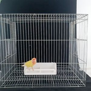 Rennas Bird Feeders Waterer Drinker With Clip Parrot Cages Water Dispenser Bottles Drinking Bowls Pet Bird