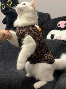 New Arrival Cat Vest Summer Spring Autumn Winter No Sleeve Anti Shedding Edge Binding Pet Clothes Leopard Pattern Cat Pet Apparel