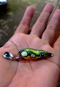 SF dindang " Cungkring 1 " 4 cm 5 gr