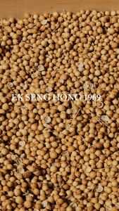 [พร้อมส่ง] เม็ดผักชี ลูกผักชี Coriander seed เมล็ดผักชี 芫荽种子 เครื่องเทศ (ปริมาณ 500 กรัม)
