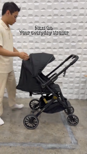 Bonbijou FlexiGo 2-Way Stroller | Reversible Stroller | BABYBOO