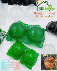 BCTQ - Bầu nhựa PP chuyên hỗ trợ chiết cành giúp rễ chiết sinh trưởng và phát tốt size 5x6cm 8x10cm 12x13cm