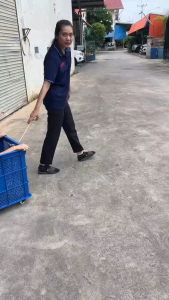 ลังพลาสติกโปร่ง รุ่น 123-A มีล้อ 4 ล้อ เข็นได้ ตะกร้าพลาสติกใส่ของ/ส่งพัสดุ แข็งแรง ทนทานเข็นได้สะดวก เหมาะสำหรับใส่ของ