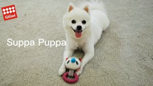 [GiGwi] Suppa Puppa Series: Alligator/Dino/Hippo/Penguin (XS Size) with Squeaker - Dog Toy For Puppies