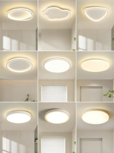 DGY | Modern Nordic Style Small Ceiling Light
