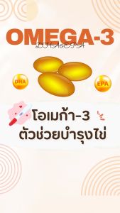 วิตามิน เตรียมตั้งครรภ์ Fish Oil น้ำมันปลา 1200 mg Omega3 EPA DHA 30 แคปซูล  อาหารเสริมเตรียมตั้งครรภ์ บำรุงไข่ บำรุงเซลล์ไข่ ราคาที่เหมาะสม