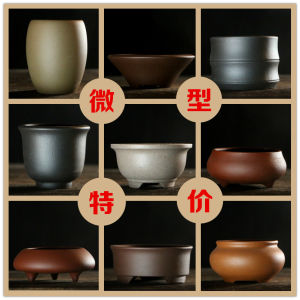 Yixing Purple Clay & Handmade Ceramic Potted Plants: A Comprehensive Guide