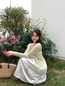 Blue Language plus Size Womens Dress New Chinese Style Button Print Strap Knitted Cardigan Summer Two-Piece Set City Style Long Sleeve