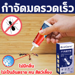 🐜หยดเดียวตายยกรัง🐜เจลกำจัดมด เหยื่อกำจัดมด ยาฆ่ามด เจลฆ่ามด 12 กรัม ดึงดูดให้มดเข้ามากิน กำจัดมดอย่างมีประสิทธิภาพ ปกป้องต่อเนื่อง สูตรไม่ระคายเคือง ปลอดภัยกับสัตว์เลี้ยง กำจัดมด เจลมด เหยื่อล่อมด เหยื่อมด ยากำจัดมด ant bait