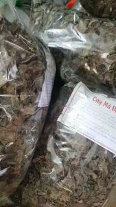 Bông mã đề (Combo 2kg) cây mã đề phơi khô thơm nức mũi cho người tiểu dắt tiểu buốt bàng quang lợi tiểu