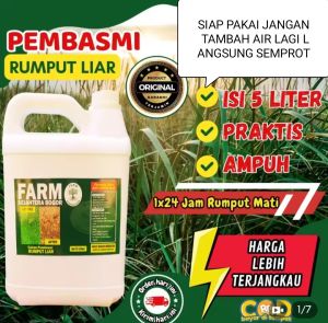 PEMBASMI RUMPUT LIAR PALING AMPUH. 5 LITER ( siap pakai tidak perlu tambah air )
