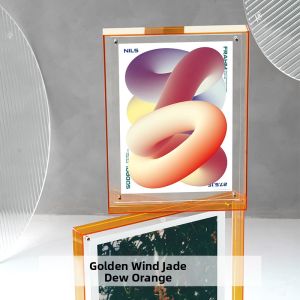 LUDAYE | Double-Sided Transparent Photo Frame with Print and Wall Mounting Creative Storage Trays