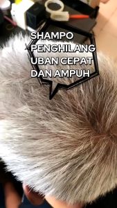 Aestika Shampo Penghitam Rambut 1x Keramas: Penghitam Uban Penghilang Uban Hair Coloring Shampoo (Hitam)