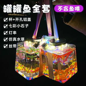 (Ready Stock) Popular Small Fish Tank 网红罐罐鱼