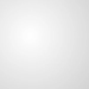 Elderly Bed Guard Safety Rail Bedside Support For Elderly Bed Fence For Elderly Safety Anti-Fall Armrest Foldable When Getting up 老人床挡