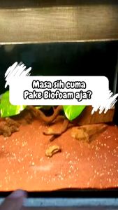 Biofoam Crown Filter Aquarium Size S.M.L