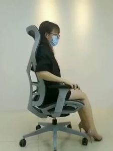 Ergoseat High Back Ergonomic Home Office Chair with Adjustable Lumbar Support (283A Chair) - Include Delivery