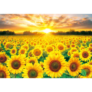 Kayou | Jigsaw Puzzle 1000 Pieces Sunflower Landscape Puzzle Home Decor for Adults Game Family Fun Puzzles Educational Toys