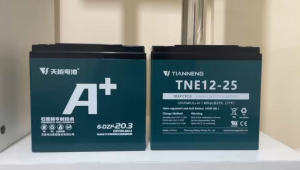 Tianneng 12V Lead Acid Battery 15Ah 21Ah 25Ah 28Ah 38Ah 45Ah 52Ah AGM Gel Deep Cycle Heavy Duty Ebike Battery Compatible with Nwow