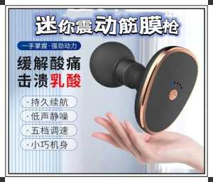 WE 2822 = 迷你震动筋膜枪 #颜色随机 Mini Vibration Fascia Gun #Random Color