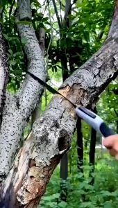 Portable 300MM Folding Saw Gergaji Pokok Gardening Garden Pruning Saw Fruit Tree Pruning Horticulture Tool For Outdoor