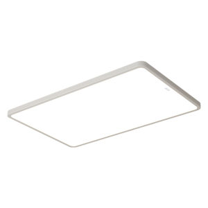 HUIPU ZHAOMING | Protective Full Spectrum Modern Simple Ceiling Light