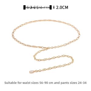 BILLI ZILLY | Versatile Small Chanel Style Decorative Metal Chain Waist Belt