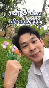 ไฟปักสนามโซล่าเซลล์ ทรงดอกไม้ผีเสื้อ รุ่น LSXML-205 (เเสง : เหลืองวอมไวท์)(1 แถม 1)