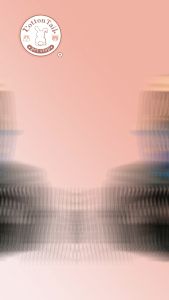 Pet cargo Besar Pintu Besi pakai baut Kandang Kucing hewan Pet carrier termasuk Tray ukuran medium voyager pet carrier anjing 49x31x32