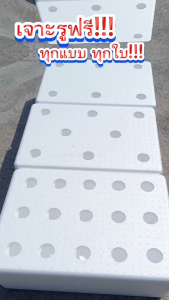 กล่องโฟมมือ 1 กล่องเปล่า กล่องกุ้ง กล่องปลูกผักไฮโดรโปนิกส์ เจาะรูฟรี+แถมถุงดำรองลัง เจาะรูสลัด 5 / 6 / 8 ต้น หรือผักไทย 15 ต้น เลือกได้ (สั่งได้ไม่เกิน 4 ใบ/ออเดอร์)