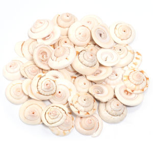 30/40/50g Natural Sea Flower Snail Shell Beads Loose Spacer Beads for DIY Jewelry Bracelet Pendant Craft Decoration Accessories