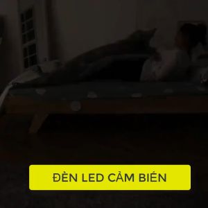 Đèn Cảm Ứng Tròn Tự Động Sáng Thông Minh Không Dây Cảm Biến Đèn Led Treo Gắn Tường Ánh Sáng Vàng Cảm Ứng Tự Động